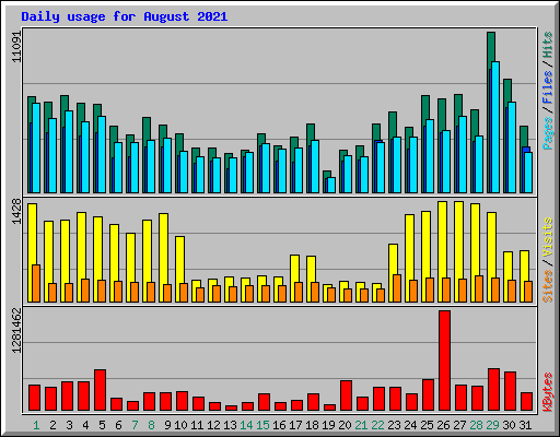 Daily usage for August 2021