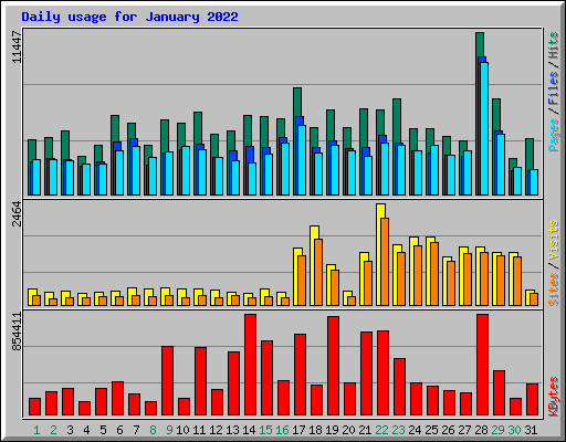 Daily usage for January 2022