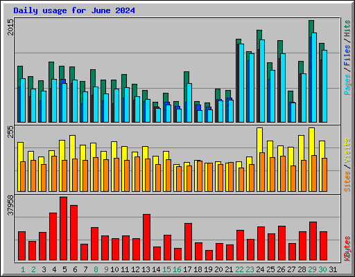 Daily usage for June 2024