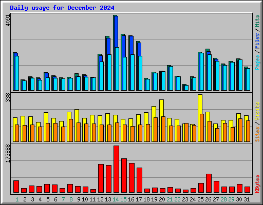 Daily usage for December 2024