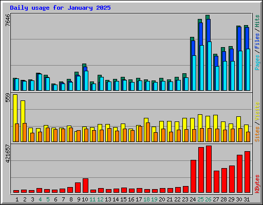Daily usage for January 2025