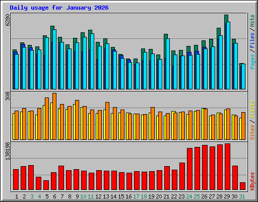Daily usage for January 2026