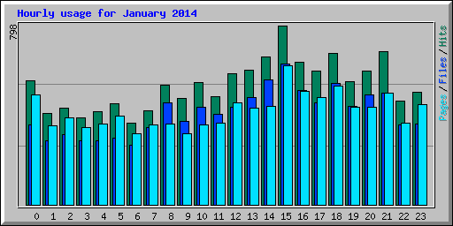 Hourly usage for January 2014