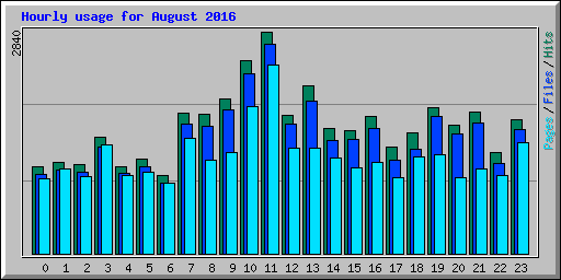 Hourly usage for August 2016