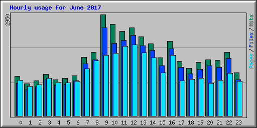 Hourly usage for June 2017