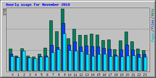 Hourly usage for November 2018