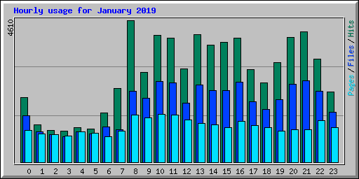 Hourly usage for January 2019