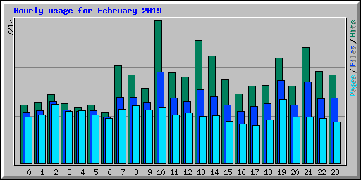 Hourly usage for February 2019