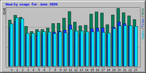 Hourly usage for June 2020