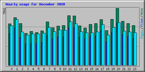 Hourly usage for December 2020