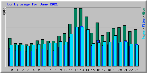 Hourly usage for June 2021