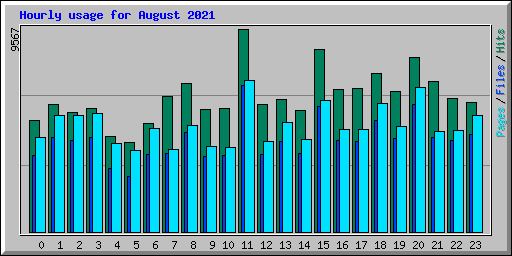 Hourly usage for August 2021