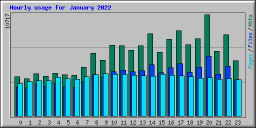 Hourly usage for January 2022