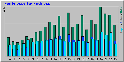 Hourly usage for March 2022