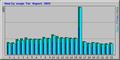 Hourly usage for August 2022