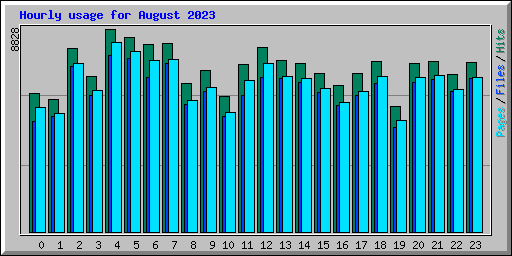 Hourly usage for August 2023