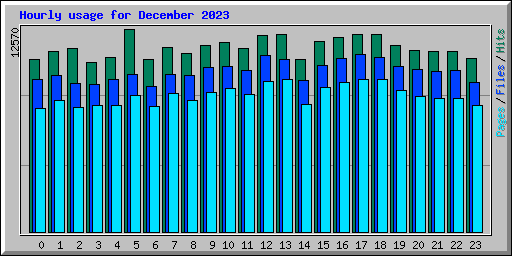 Hourly usage for December 2023