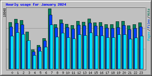 Hourly usage for January 2024