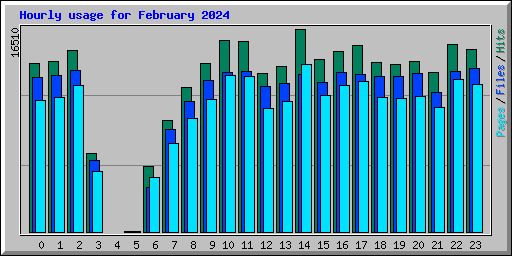 Hourly usage for February 2024