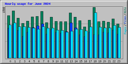 Hourly usage for June 2024
