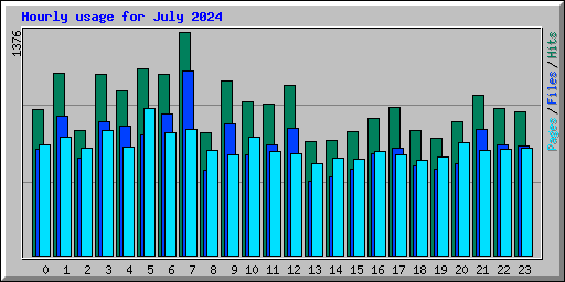 Hourly usage for July 2024