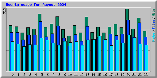 Hourly usage for August 2024