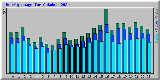 Hourly usage for October 2024