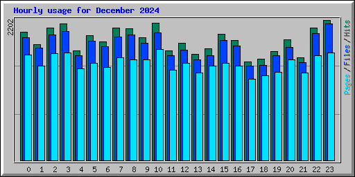 Hourly usage for December 2024