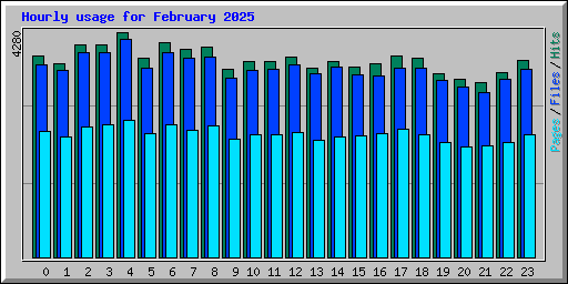 Hourly usage for February 2025