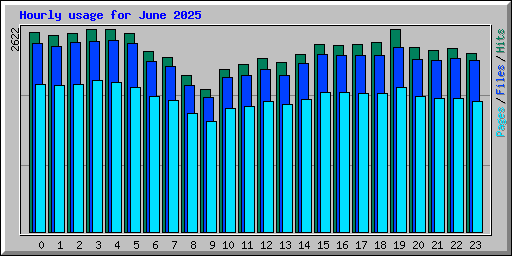 Hourly usage for June 2025