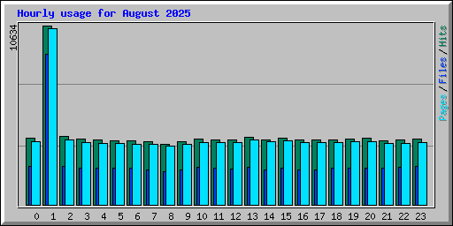 Hourly usage for August 2025