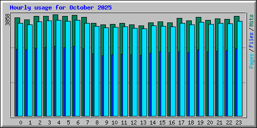 Hourly usage for October 2025