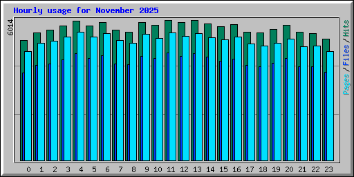 Hourly usage for November 2025