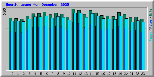 Hourly usage for December 2025