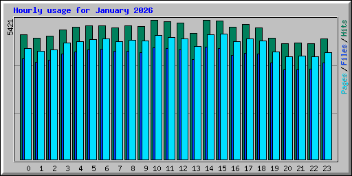 Hourly usage for January 2026