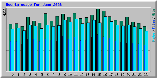 Hourly usage for June 2026